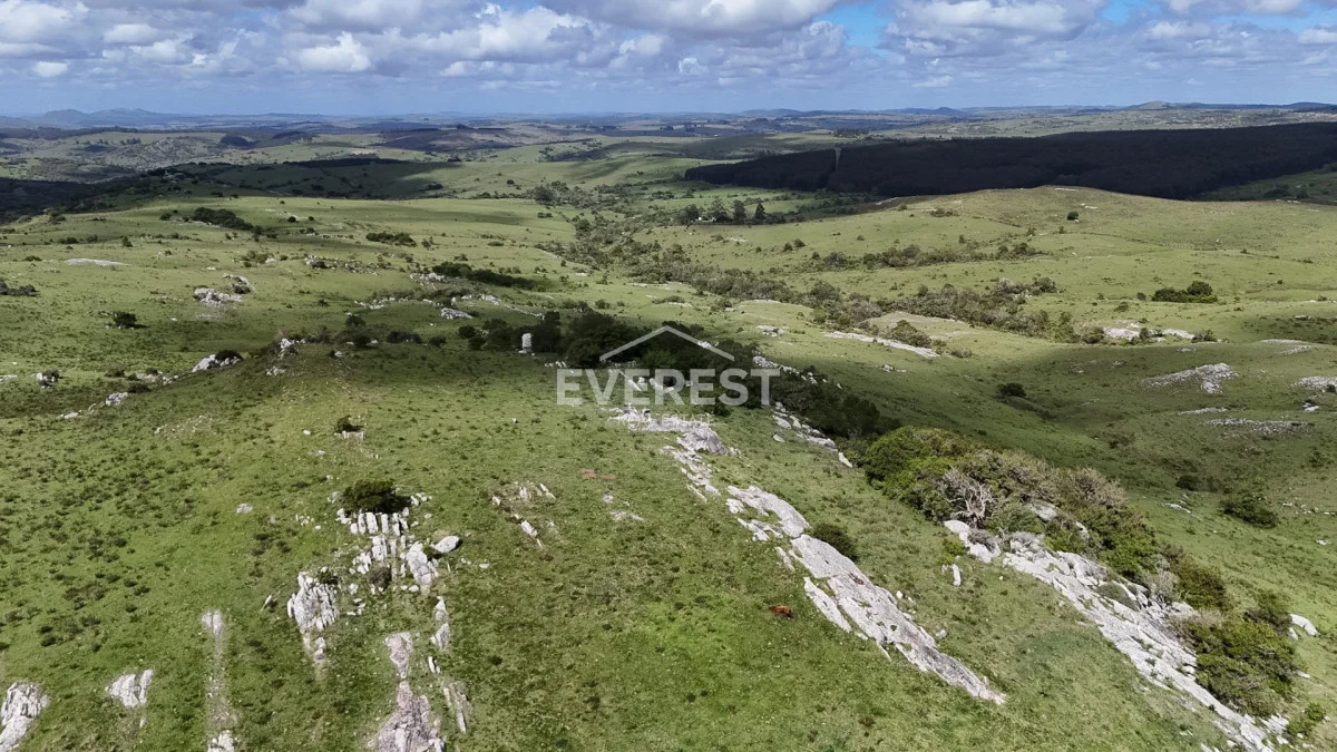 Chacra en Aigua, propiedad 285213 -Imagen 12