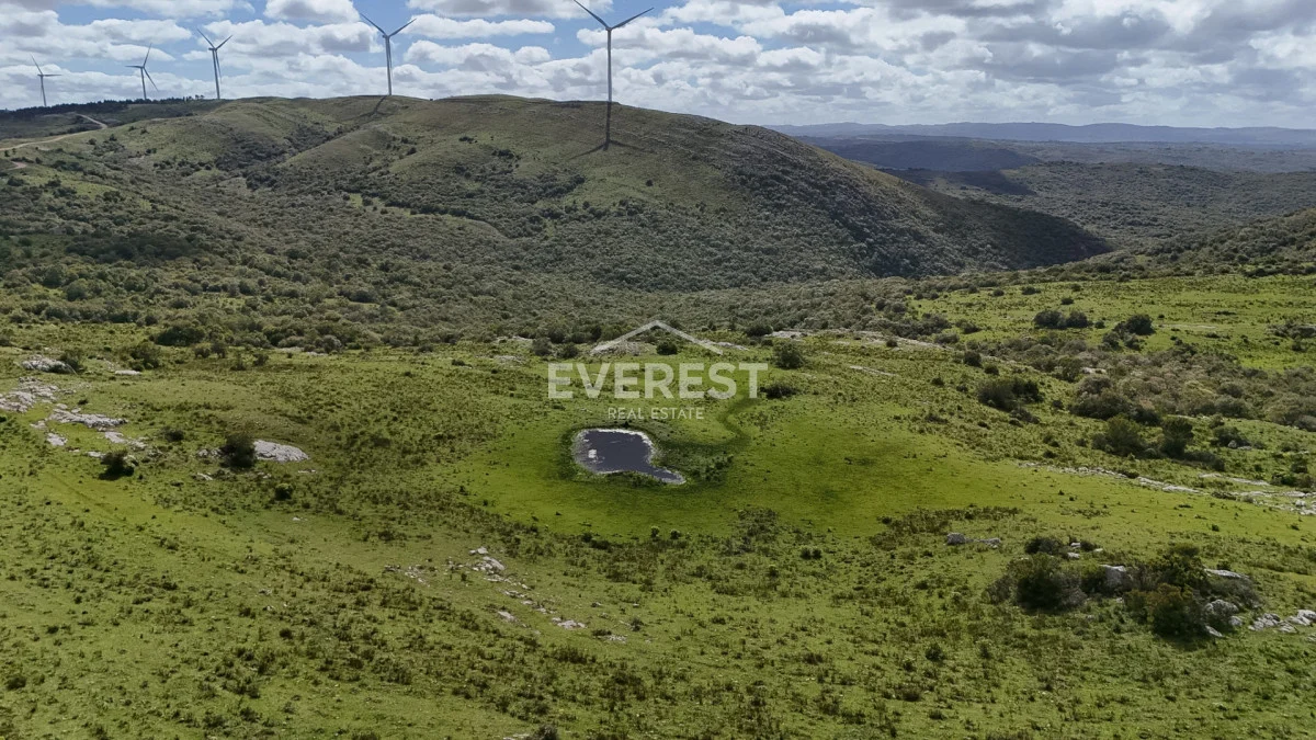 Chacra en Aigua, propiedad 285213 -Imagen 16