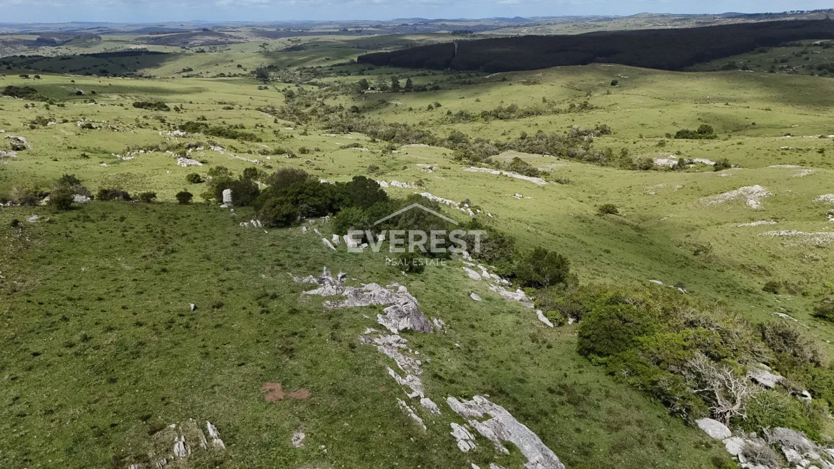 Chacra en Aigua, propiedad 285213 -Imagen 18