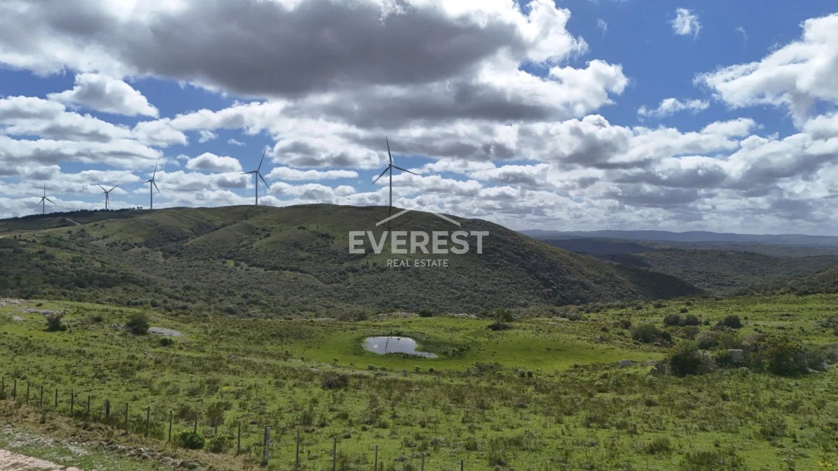 Chacra en Aigua, propiedad 285213 -Imagen 6