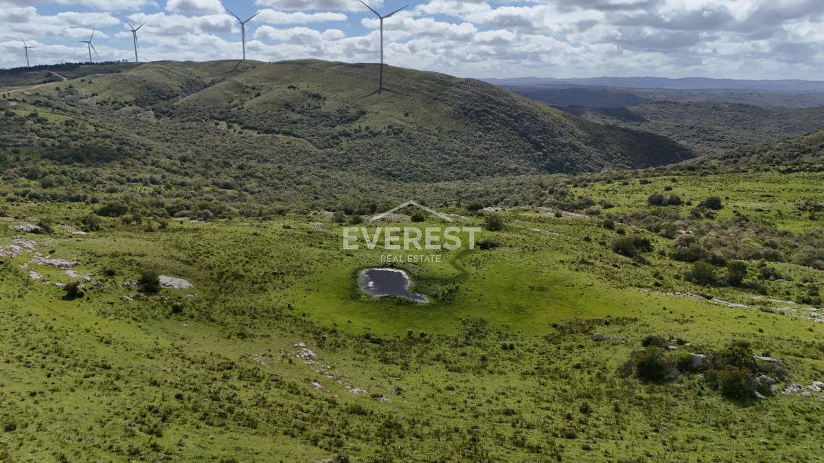 Chacra en Aigua, propiedad 285213 -Imagen 7