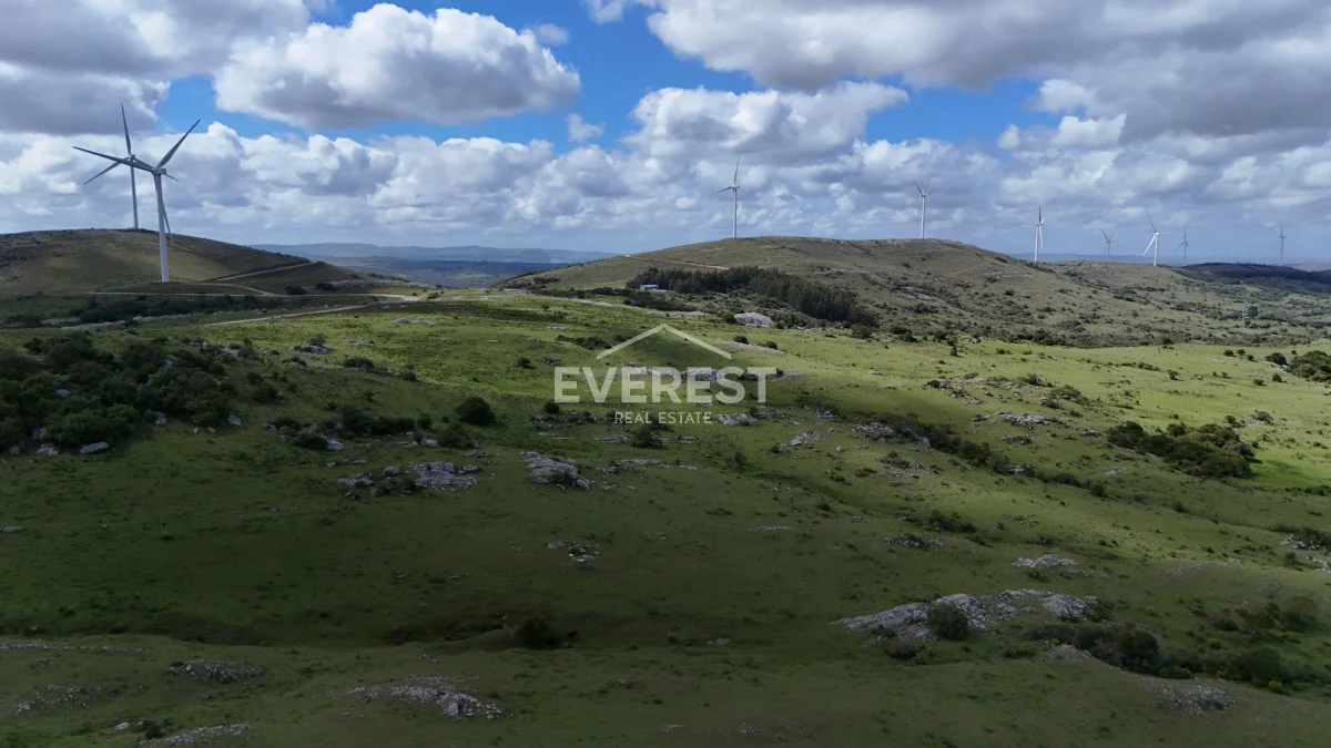 Chacra en Aigua, propiedad 285213 -Imagen 10