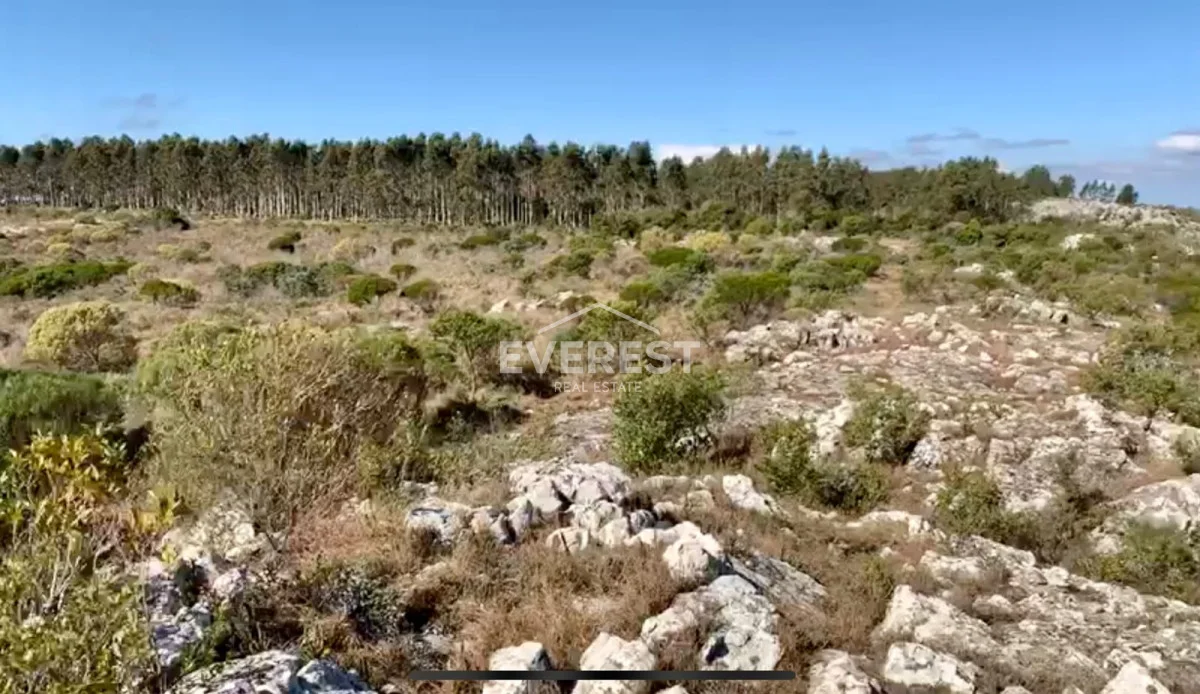Chacra en Pueblo Eden, propiedad 286786 -Imagen 4