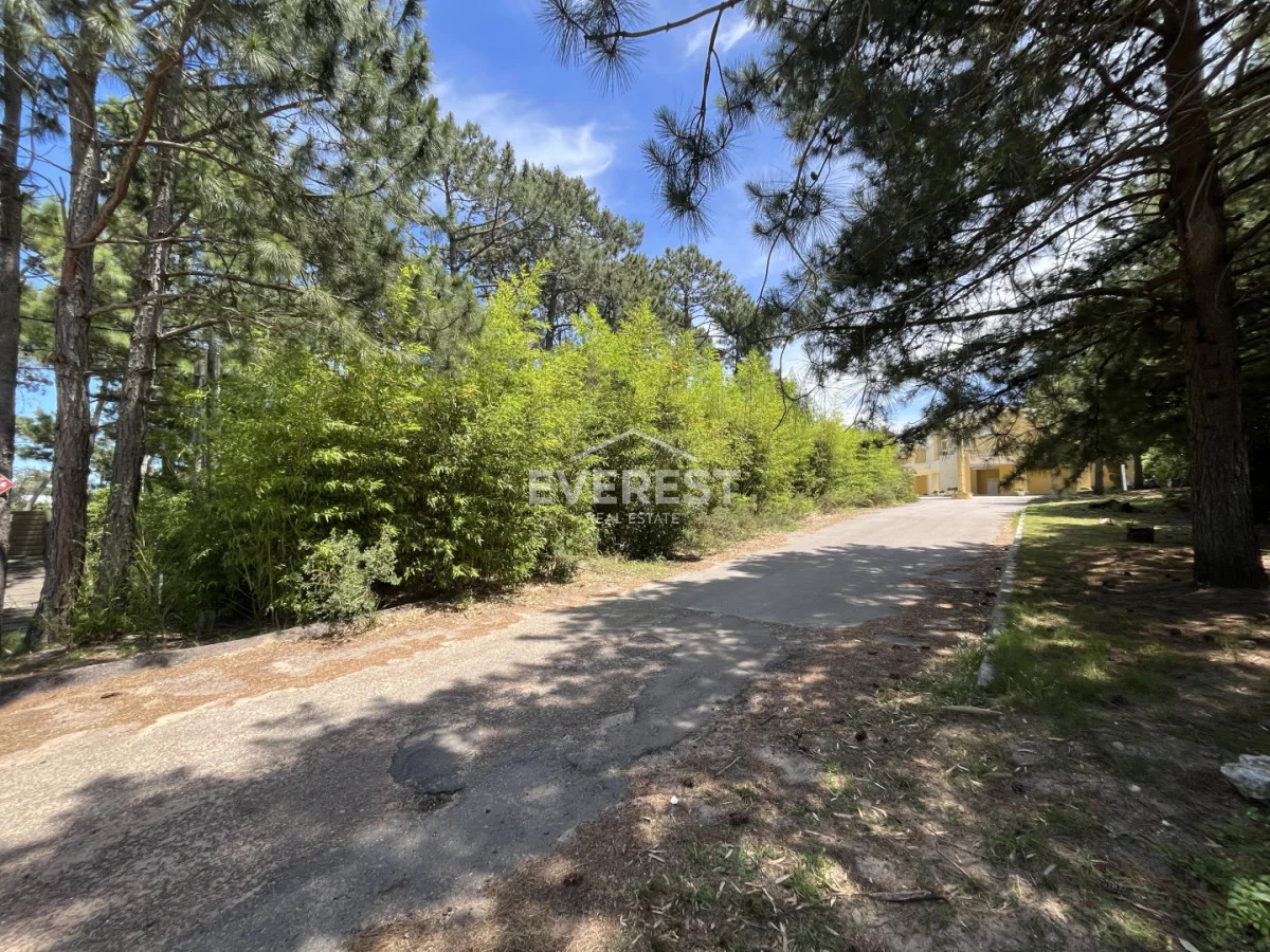 Terreno en Montoya, propiedad 291838 -Imagen 2
