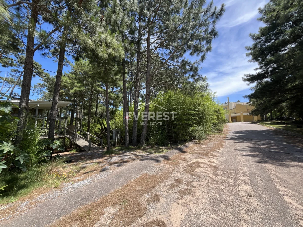 Terreno en Montoya, propiedad 291838 -Imagen 11