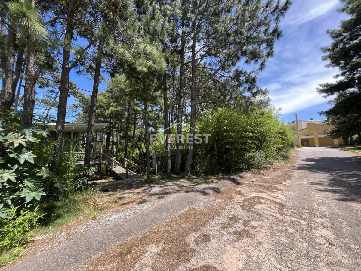 Terreno en Montoya, propiedad 291838 -Imagen 12
