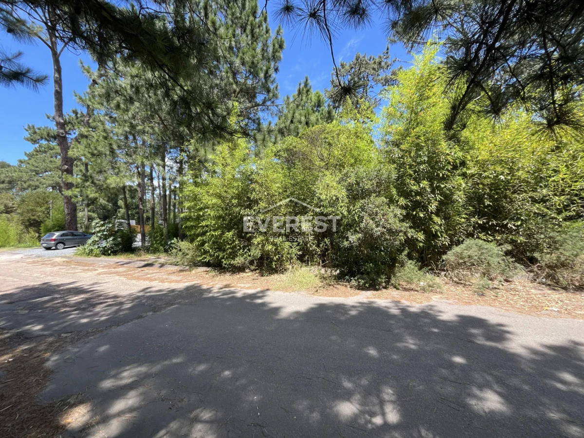 Terreno en Montoya, propiedad 291838 -Imagen 4