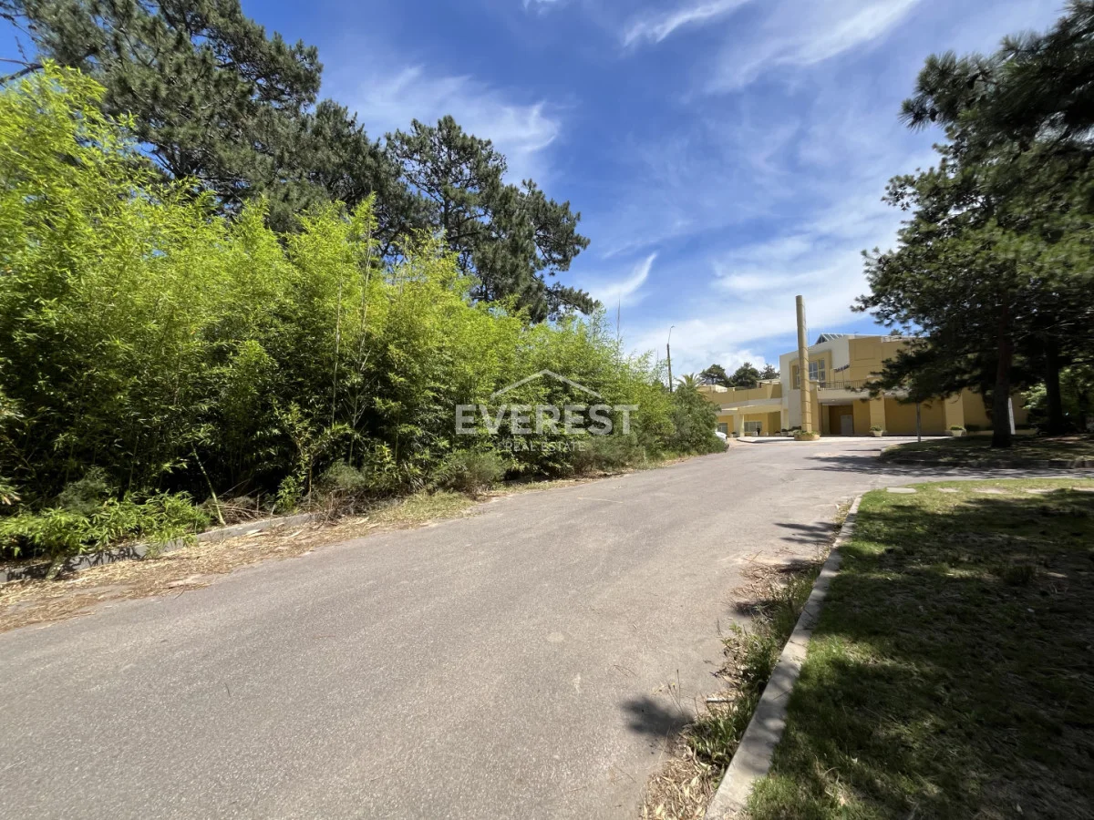 Terreno en Montoya, propiedad 291838 -Imagen 6
