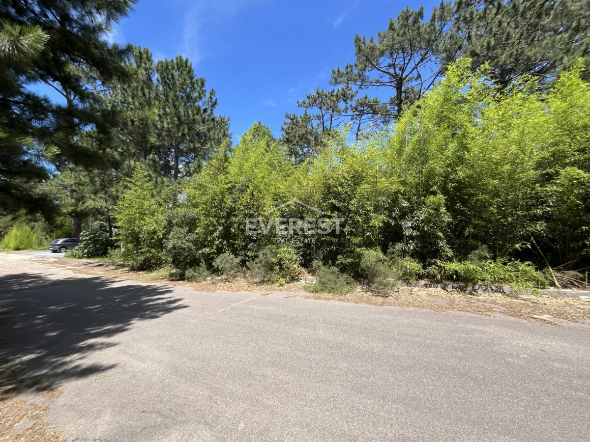 Terreno en Montoya, propiedad 291838 -Imagen 7