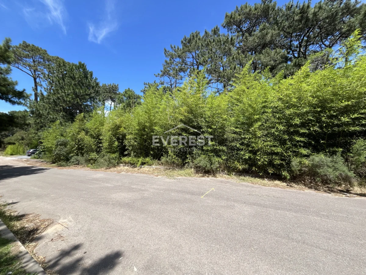 Terreno en Montoya, propiedad 291838 -Imagen 8