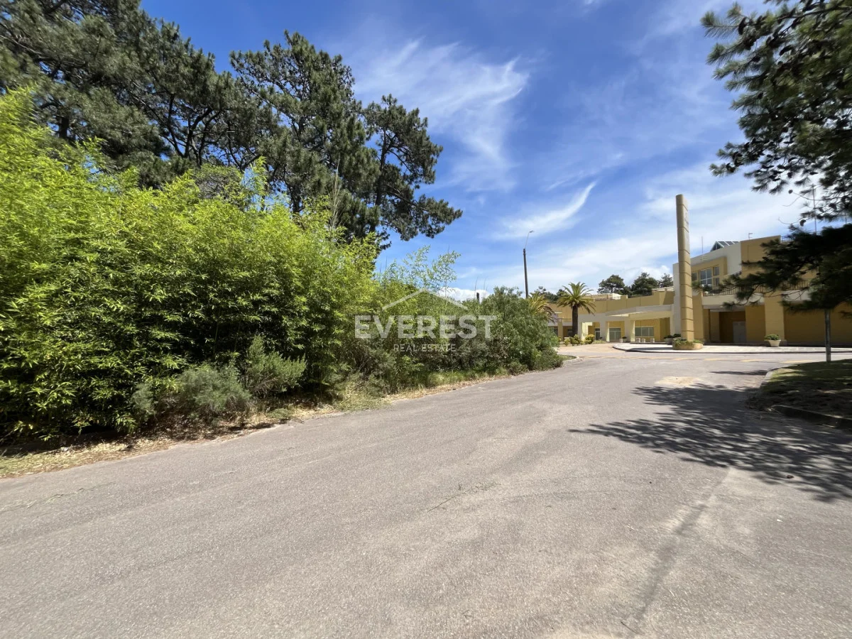Terreno en Montoya, propiedad 291838 -Imagen 9