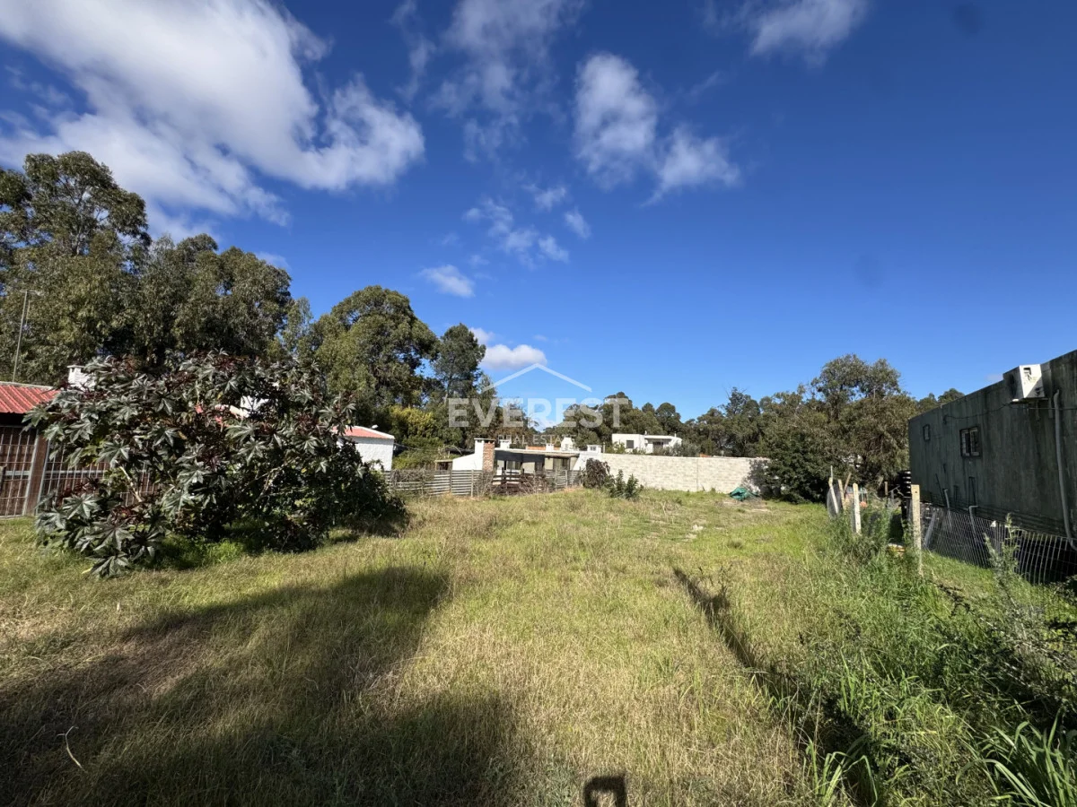 Terreno en La Floresta, propiedad 293486 -Imagen 2