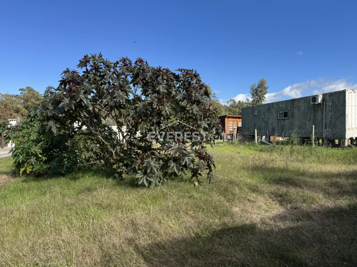 Terreno en La Floresta, propiedad 293486 -Imagen 3