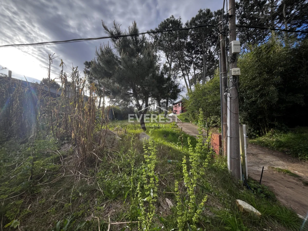 Terreno en Montoya, propiedad 296785 -Imagen 2