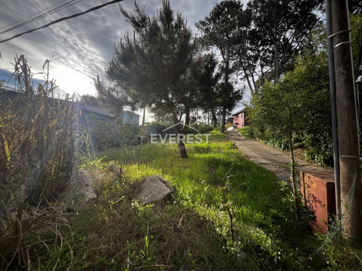 Terreno en Montoya, propiedad 296785 -Imagen 3