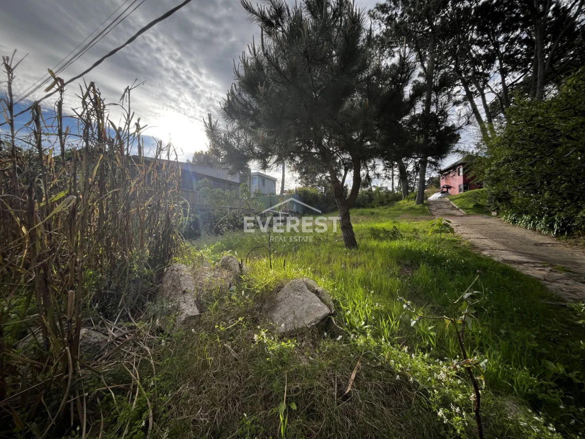 Terreno en Montoya, propiedad 296785 -Imagen 4