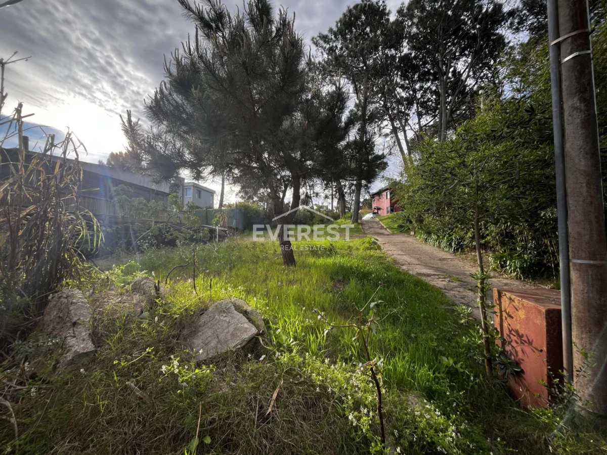 Terreno en Montoya, propiedad 296785 -Imagen 5