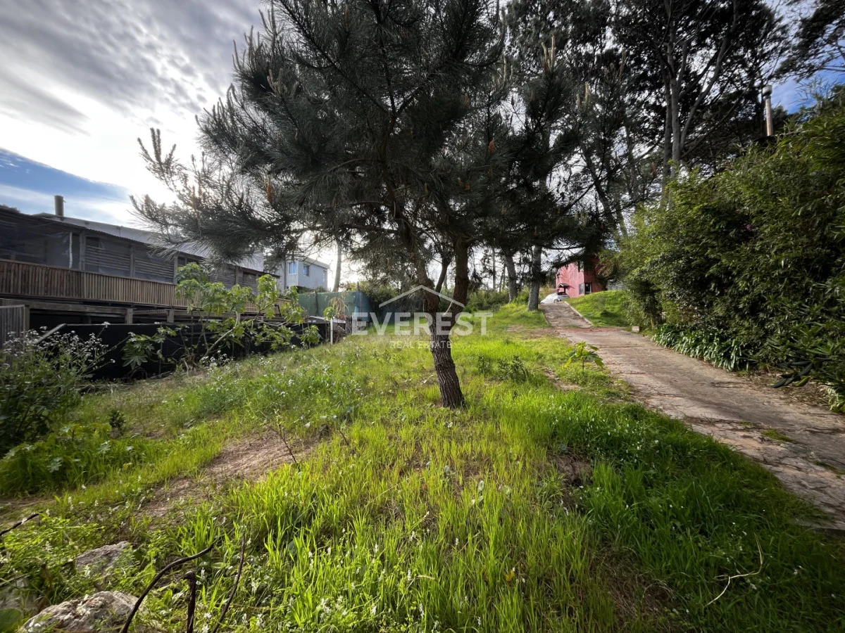 Terreno en Montoya, propiedad 296785 -Imagen 6
