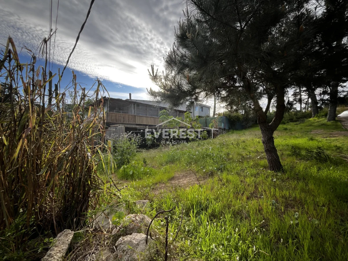 Terreno en Montoya, propiedad 296785 -Imagen 7