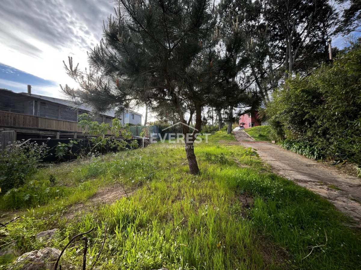 Terreno en Montoya, propiedad 296785 -Imagen 8
