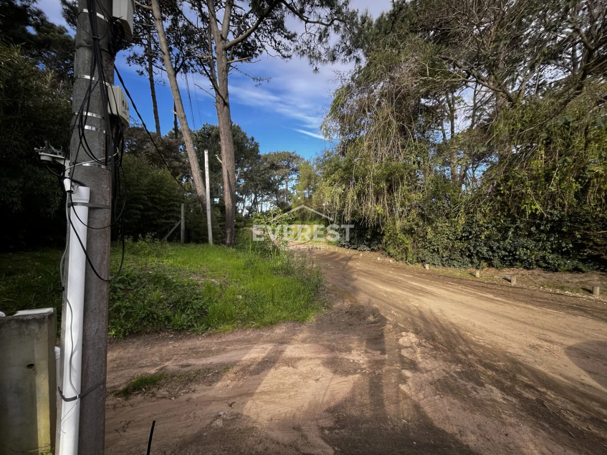 Terreno en Montoya, propiedad 296785 -Imagen 9