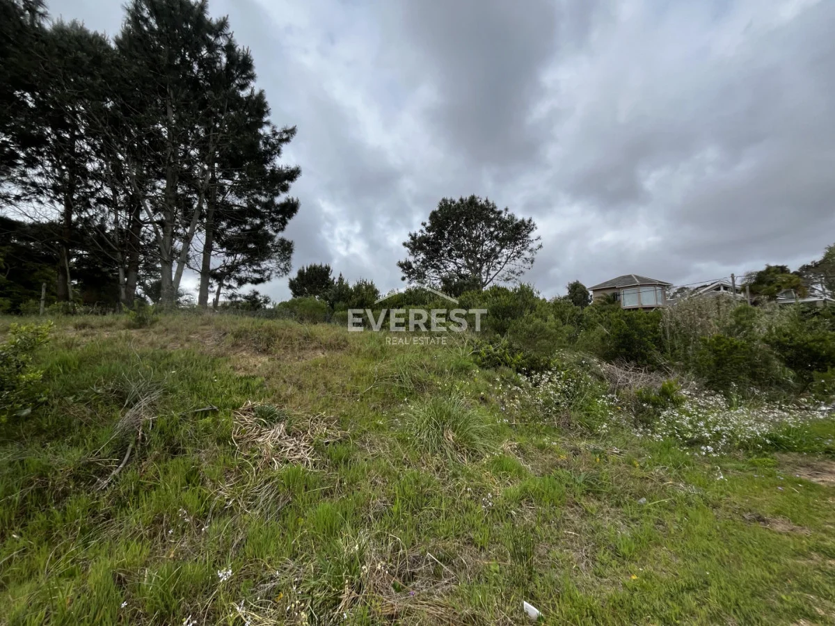 Terreno en La Barra, propiedad 302336 -Imagen 13