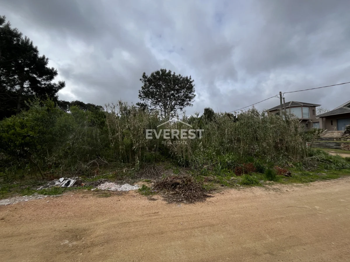 Terreno en La Barra, propiedad 302336 -Imagen 14