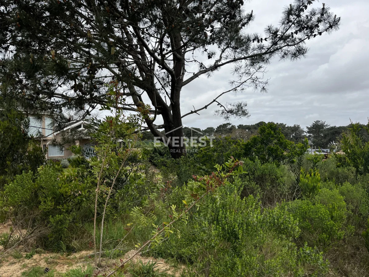 Terreno en La Barra, propiedad 302336 -Imagen 6