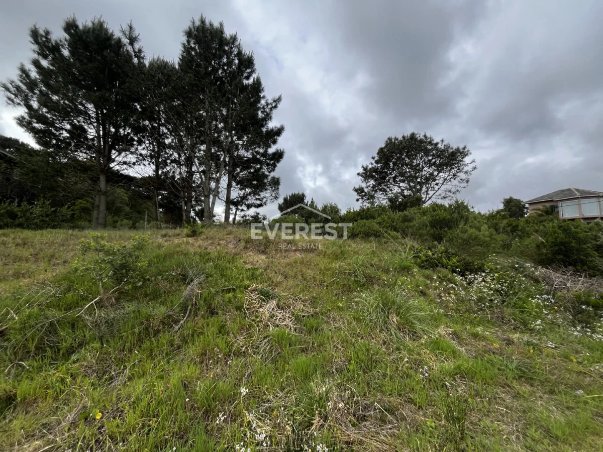 Terreno en La Barra, propiedad 302336 -Imagen 10