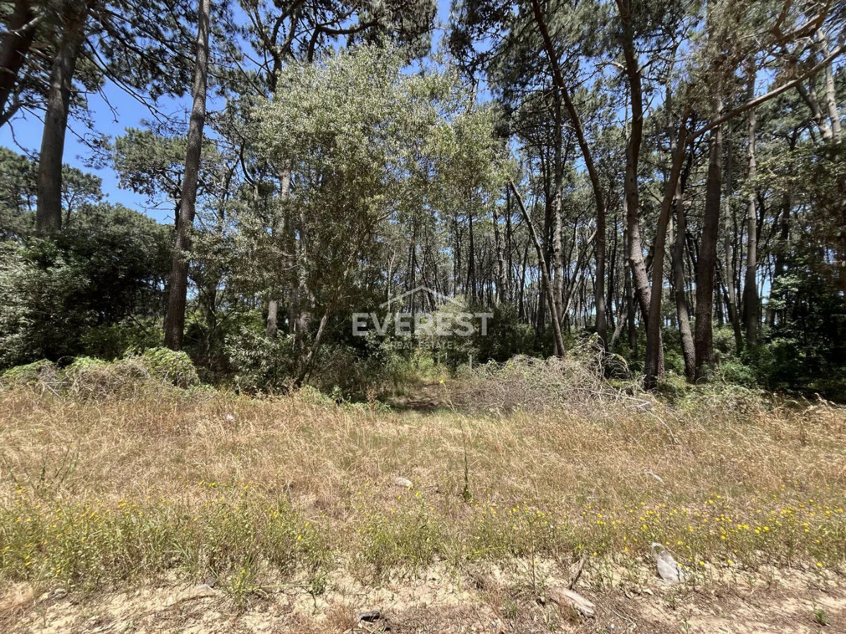 Terreno en Rincón del Indio, propiedad 302525 -Imagen 1