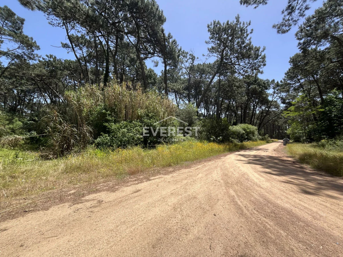 Terreno en Rincón del Indio, propiedad 302525 -Imagen 12