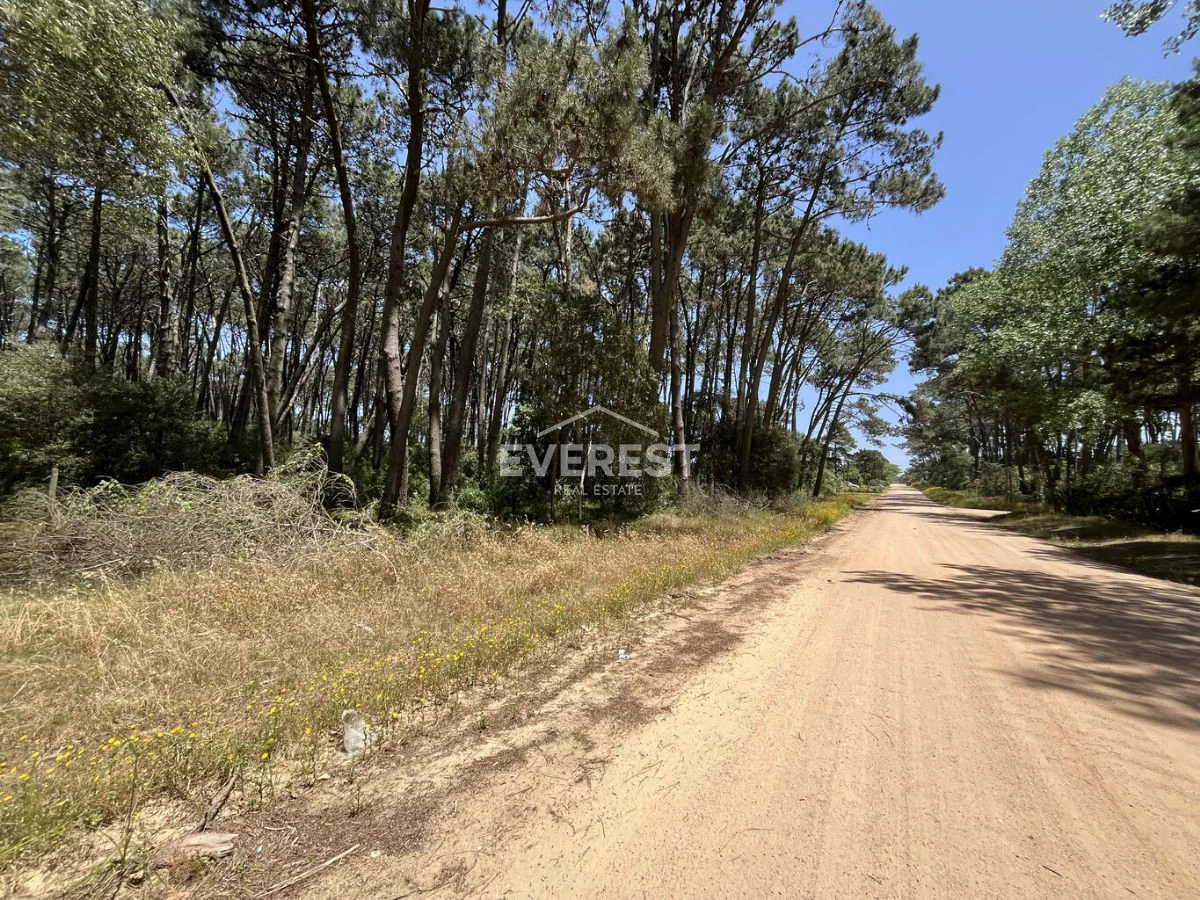 Terreno en Rincón del Indio, propiedad 302525 -Imagen 14