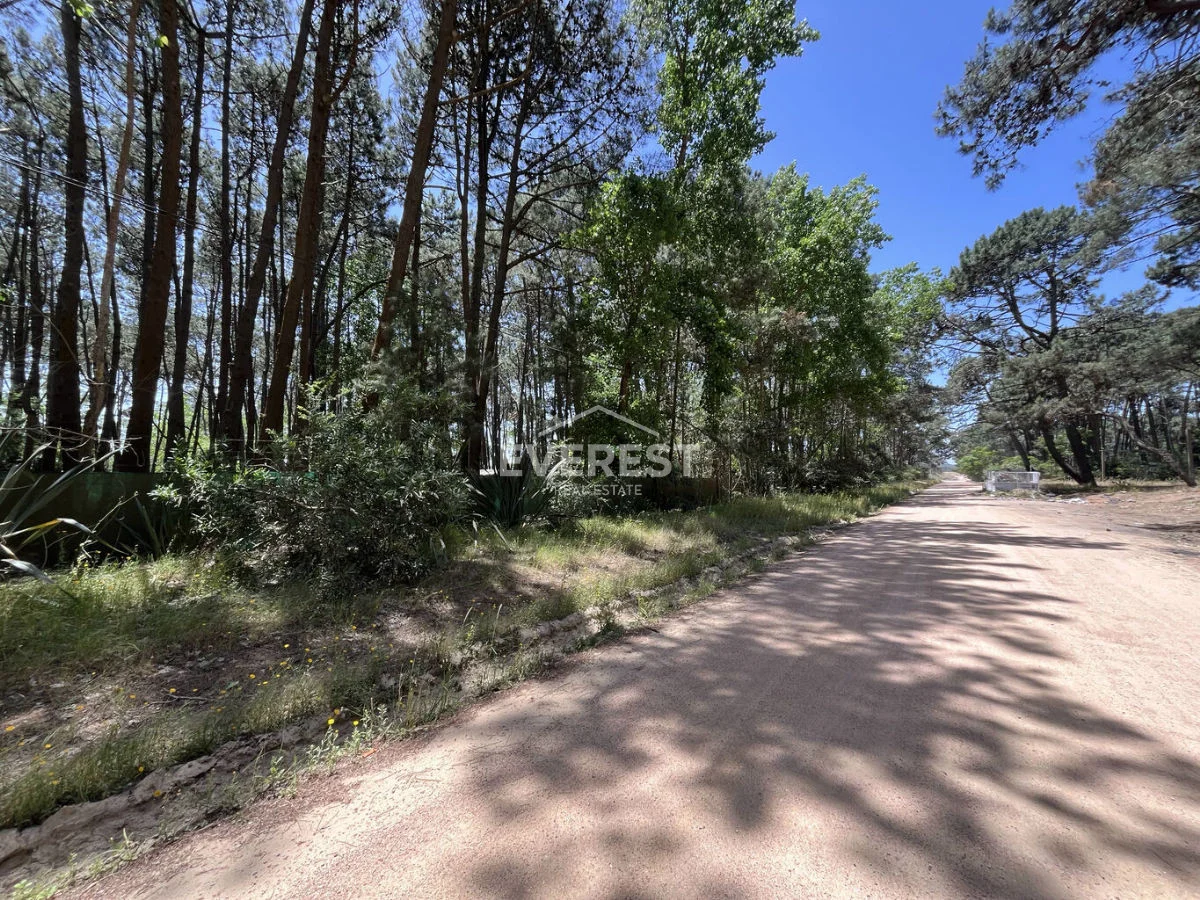 Terreno en Rincón del Indio, propiedad 302525 -Imagen 16