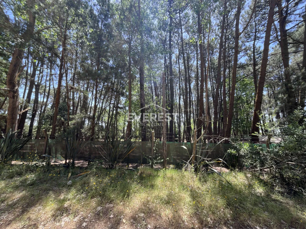 Terreno en Rincón del Indio, propiedad 302525 -Imagen 20