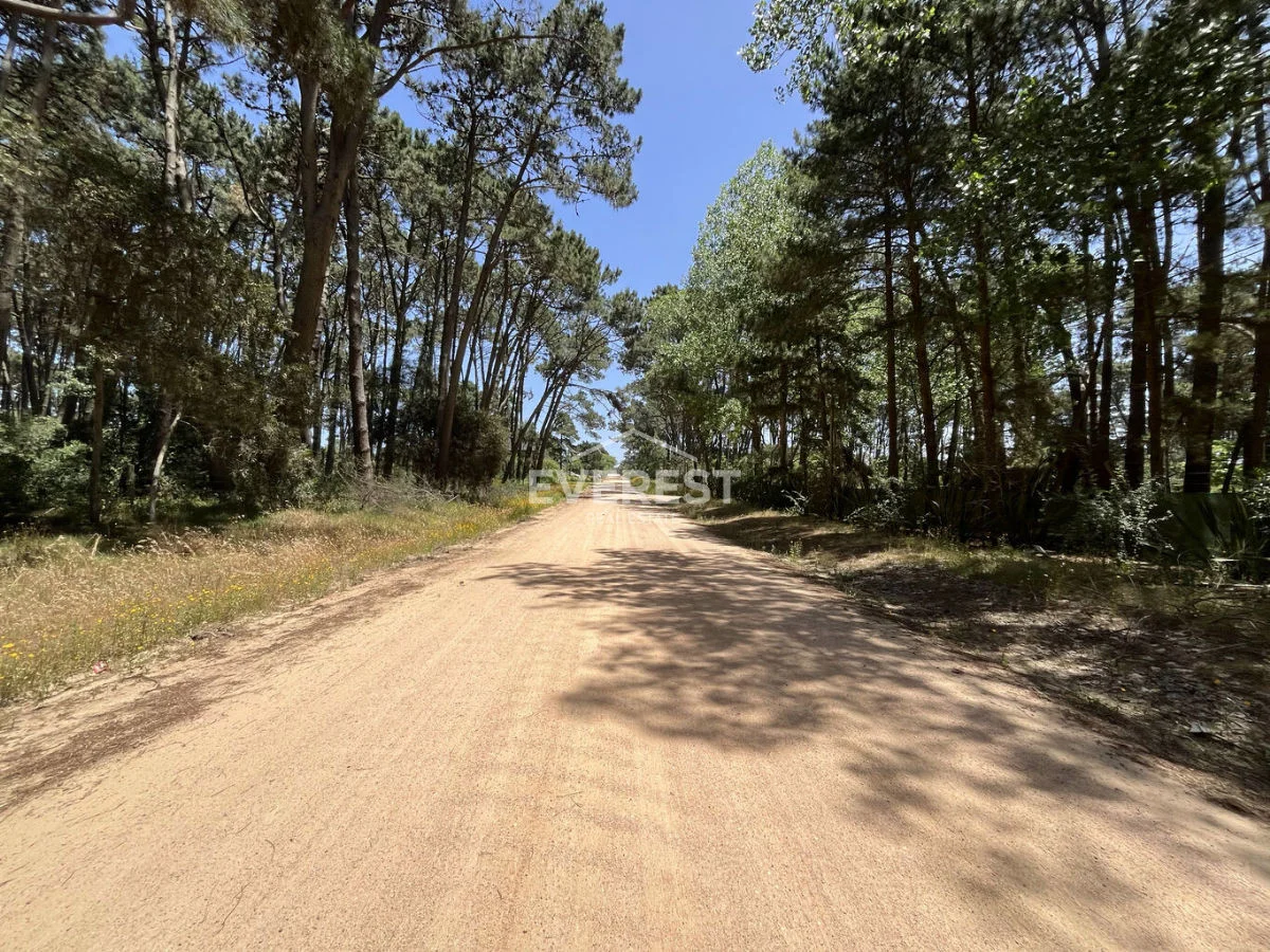 Terreno en Rincón del Indio, propiedad 302525 -Imagen 3