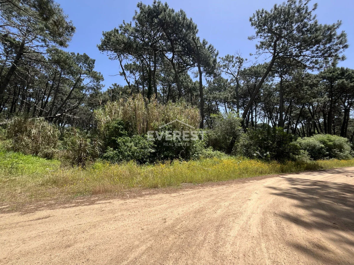 Terreno en Rincón del Indio, propiedad 302525 -Imagen 22
