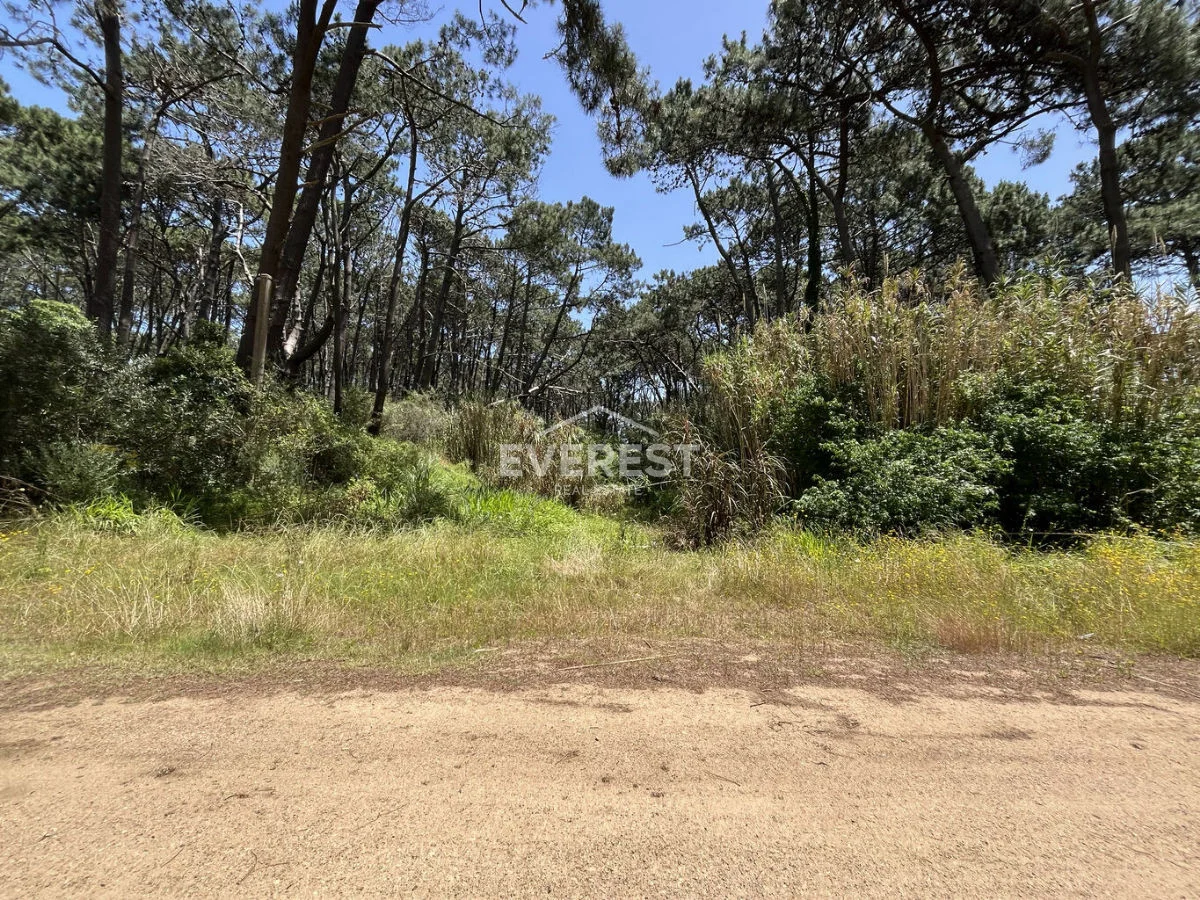 Terreno en Rincón del Indio, propiedad 302525 -Imagen 23