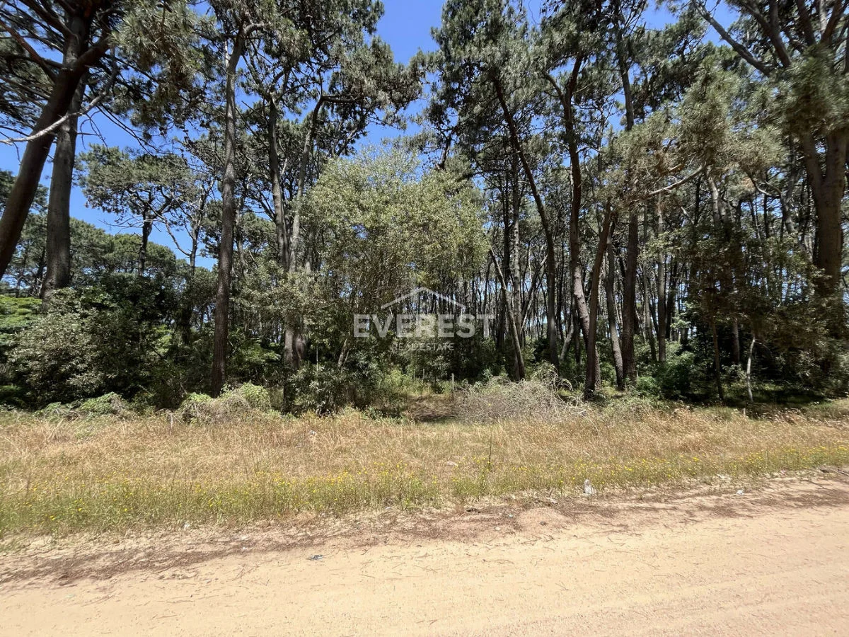Terreno en Rincón del Indio, propiedad 302525 -Imagen 5