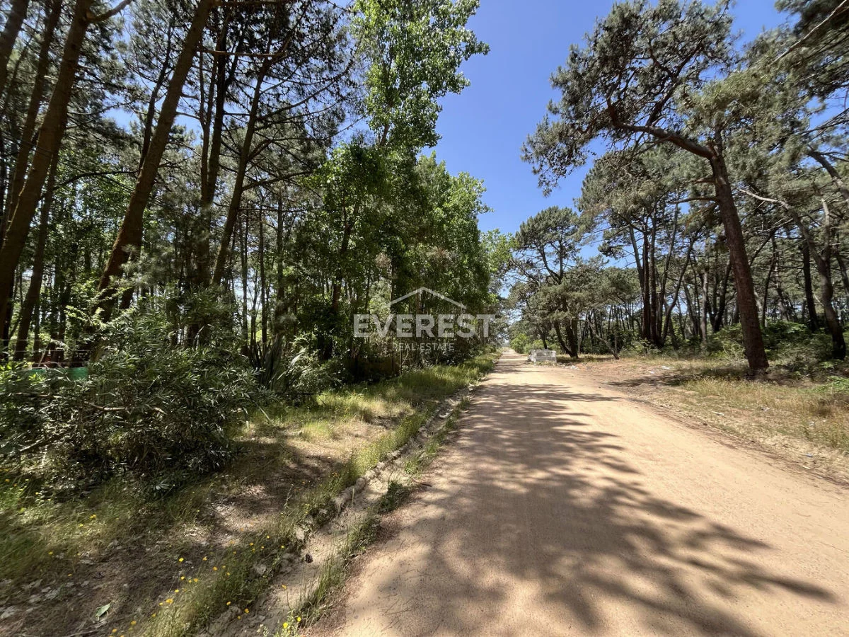 Terreno en Rincón del Indio, propiedad 302525 -Imagen 6
