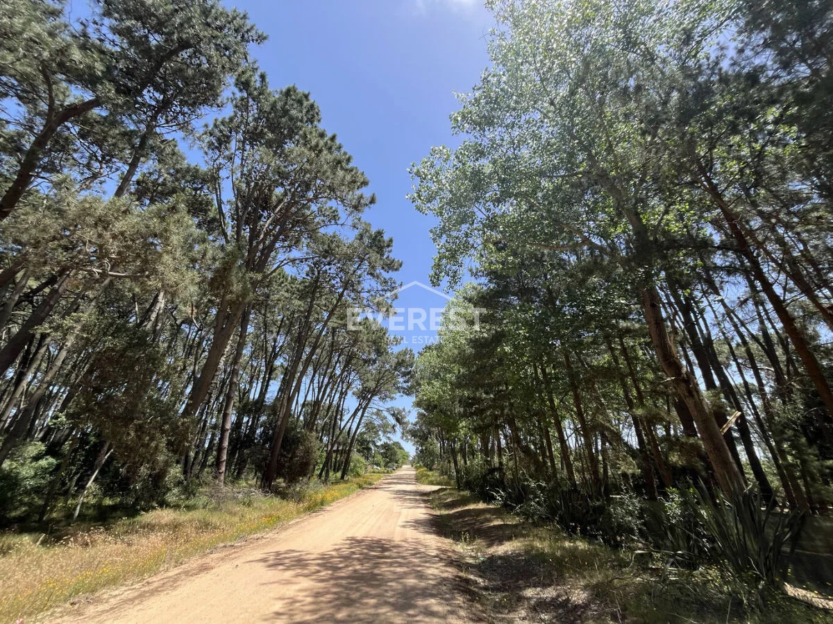 Terreno en Rincón del Indio, propiedad 302525 -Imagen 7