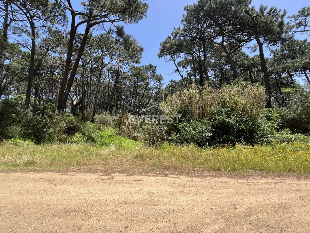 Terreno en Rincón del Indio, propiedad 302525 -Imagen 9