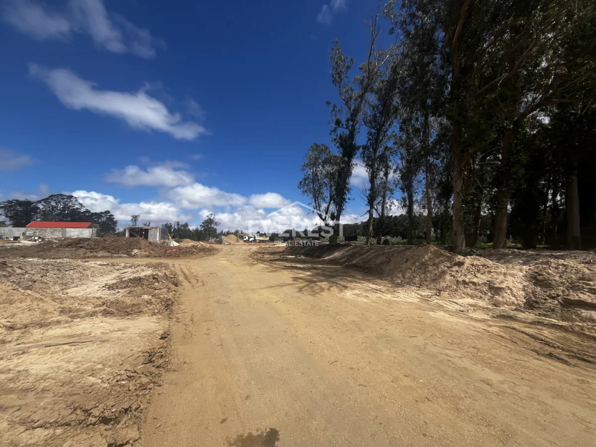 Terreno en La Barra, propiedad 302548 -Imagen 5