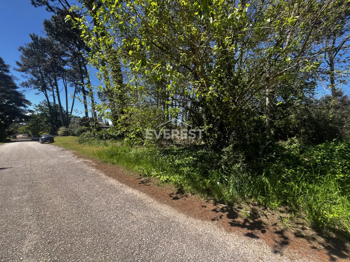Terreno en Punta del Este, propiedad 302984 -Imagen 1