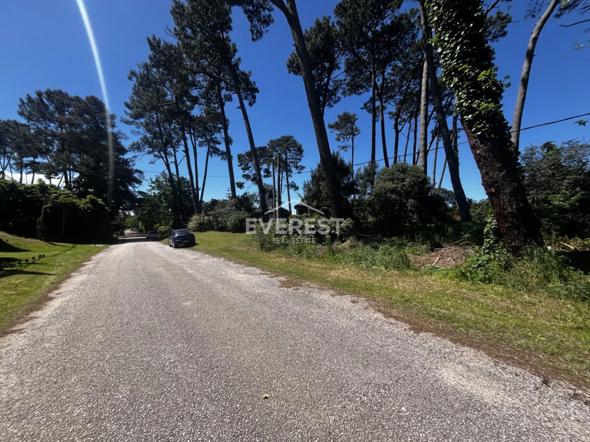 Terreno en Punta del Este, propiedad 302984 -Imagen 11