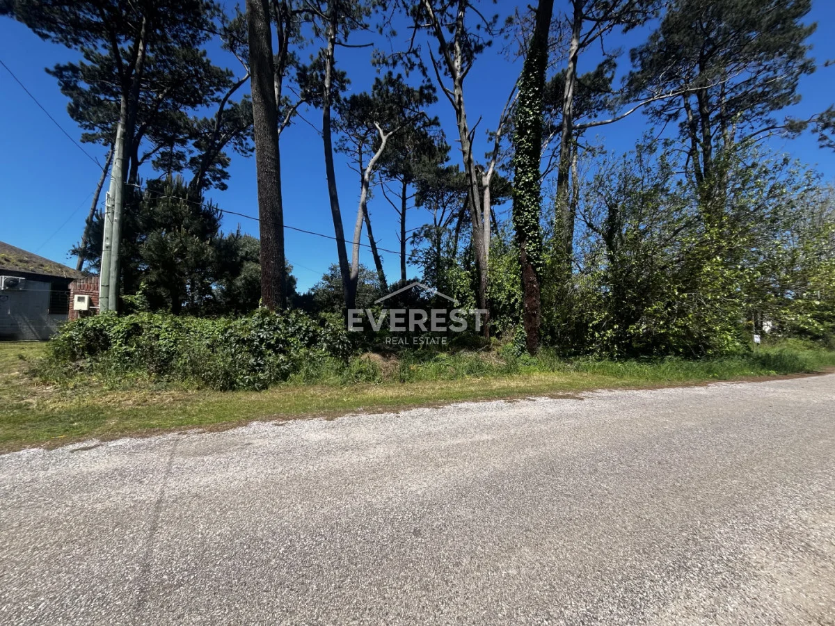 Terreno en Punta del Este, propiedad 302984 -Imagen 12