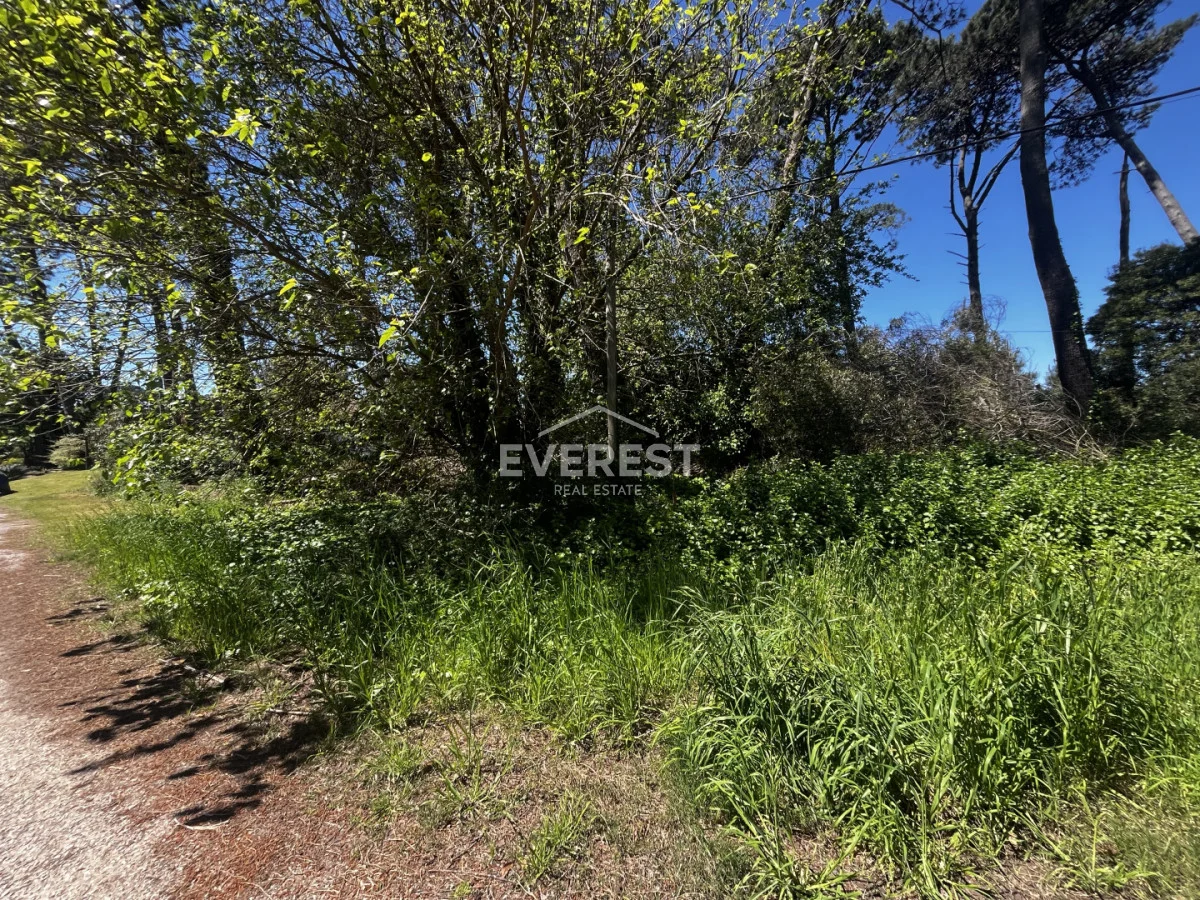 Terreno en Punta del Este, propiedad 302984 -Imagen 3