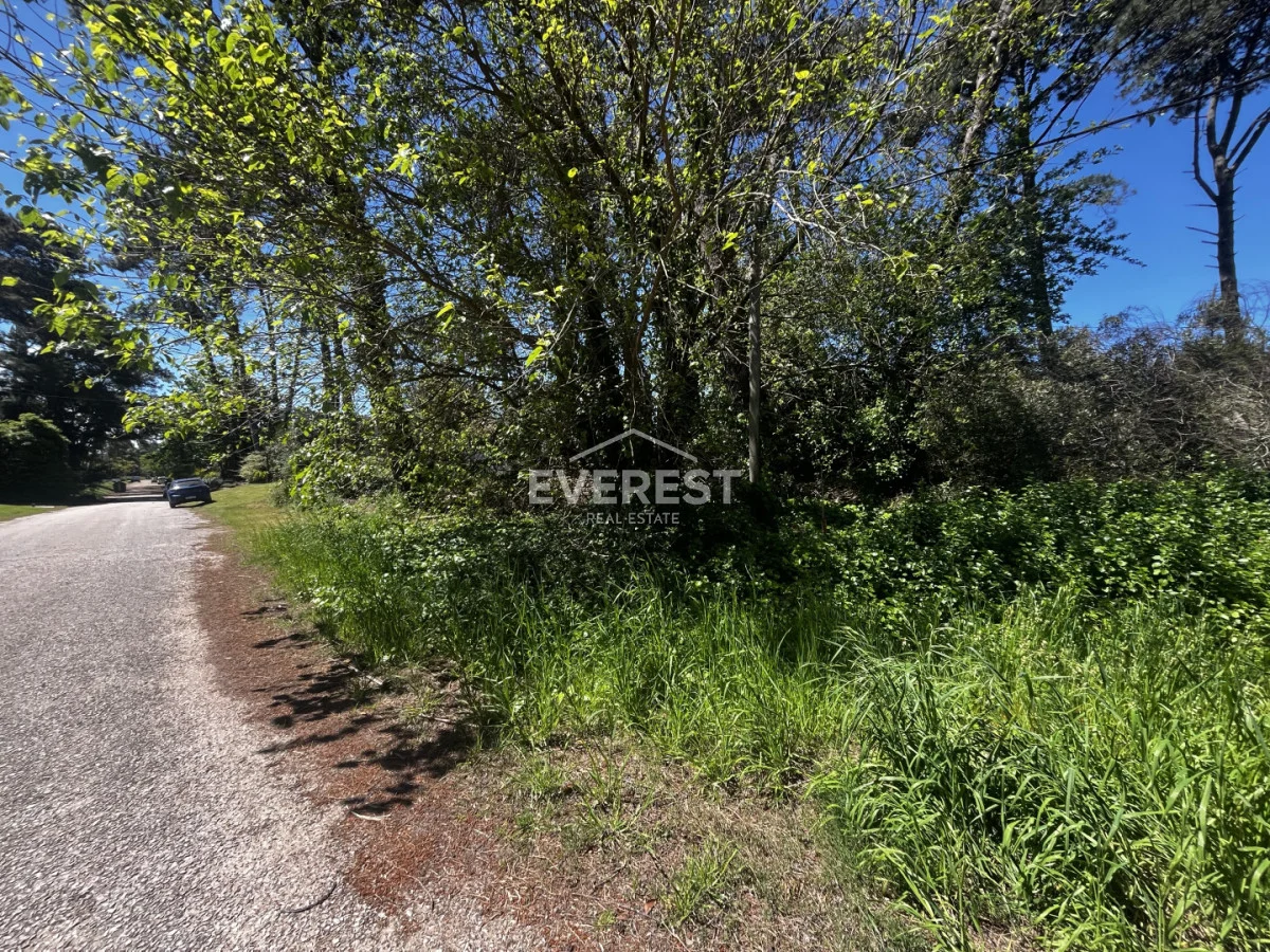 Terreno en Punta del Este, propiedad 302984 -Imagen 4