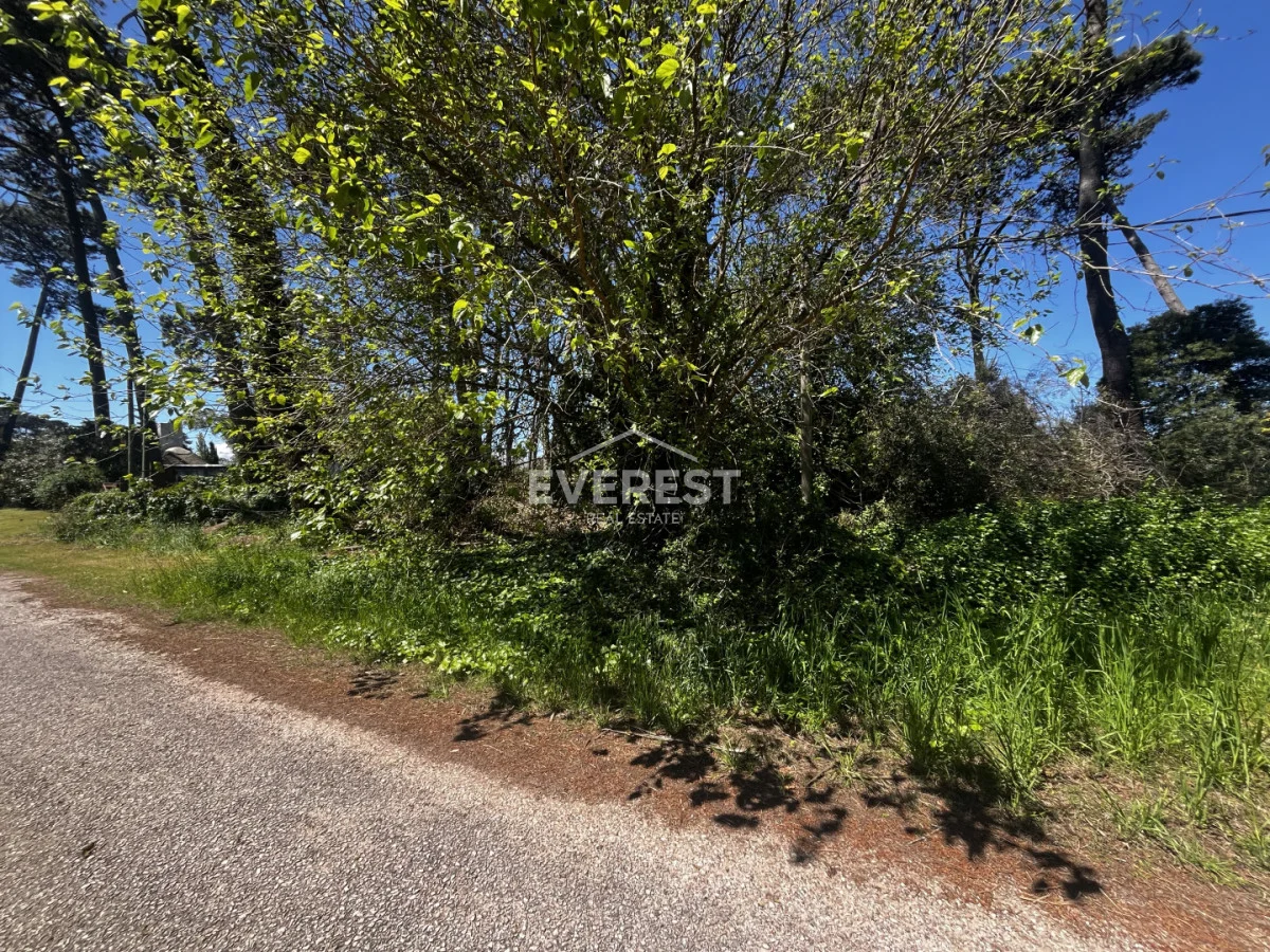 Terreno en Punta del Este, propiedad 302984 -Imagen 5
