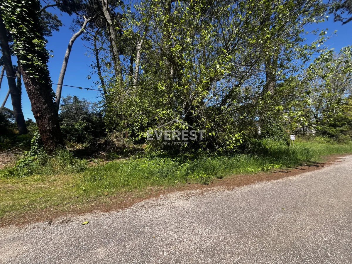 Terreno en Punta del Este, propiedad 302984 -Imagen 7