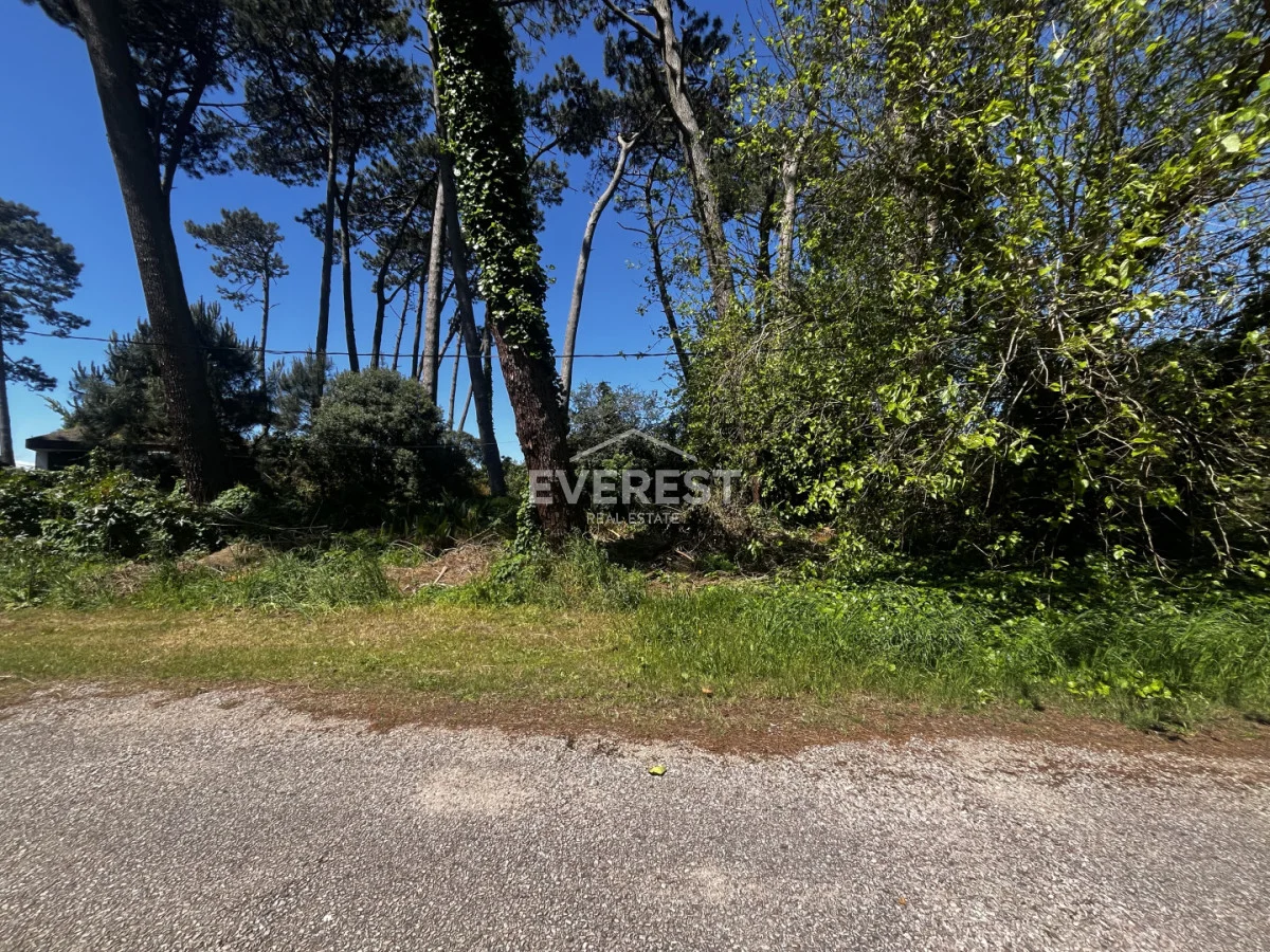 Terreno en Punta del Este, propiedad 302984 -Imagen 8